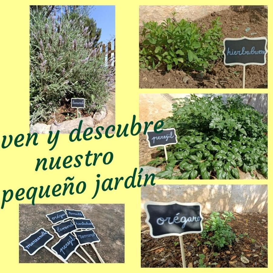 קלפה Casa Mariseta Y Tonet, Naturaleza A 2 Km Del Mar מראה חיצוני תמונה